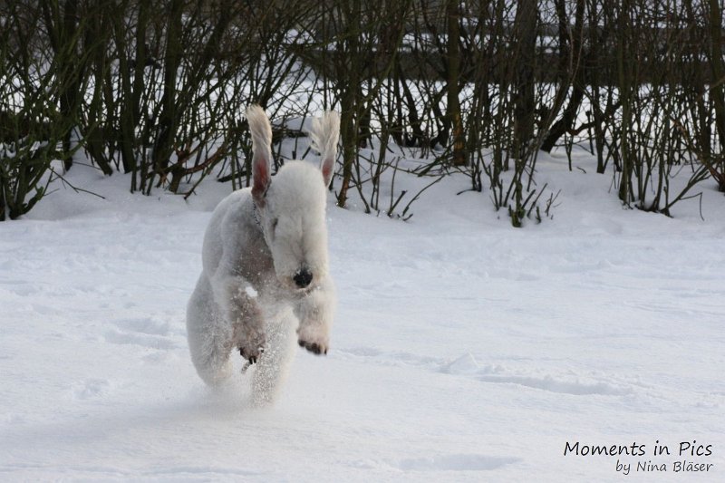Airis Blue Volshebny Svet 2010-01-31 (11).JPG
